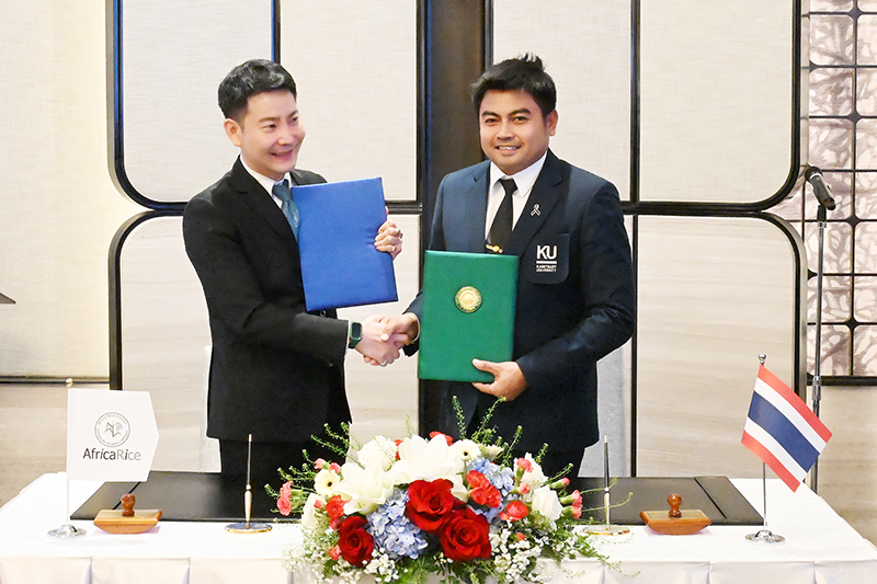 The signing of a Memorandum of Understanding (MoU) between Kasetsart University and the Africa Rice Center (AfricaRice) was made on purpose of research collaboration and the development of local African rice varieties.